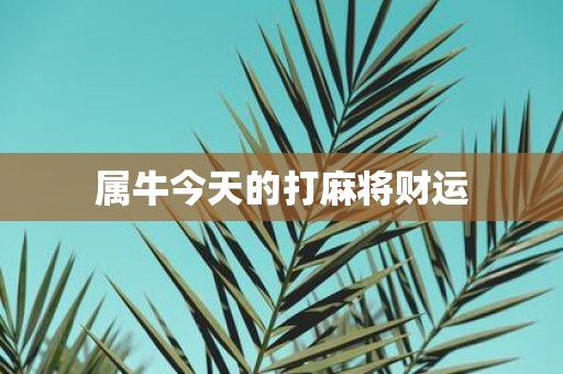 属牛今天的打麻将财运