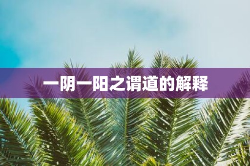 一阴一阳之谓道的解释