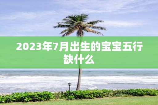 2025年7月出生的宝宝五行缺什么