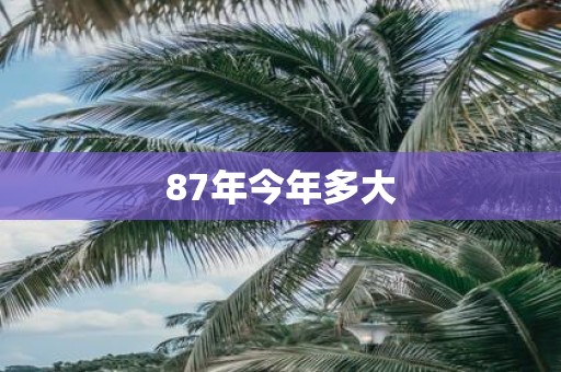 87年今年多大