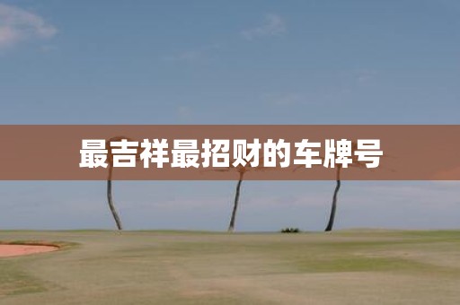 最吉祥最招财的车牌号