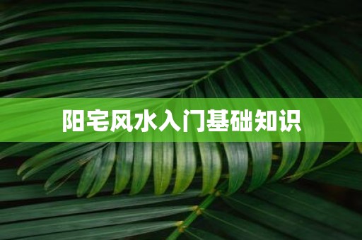 阳宅风水入门基础知识