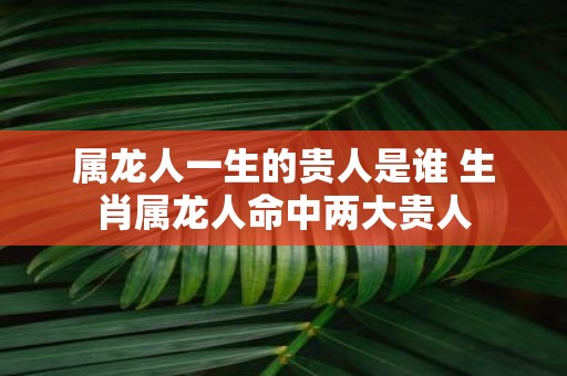 属龙人一生的贵人是谁 生肖属龙人命中两大贵人
