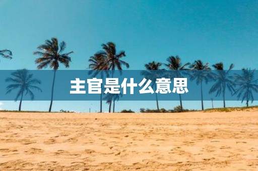 主官是什么意思