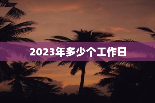 2025年多少个工作日