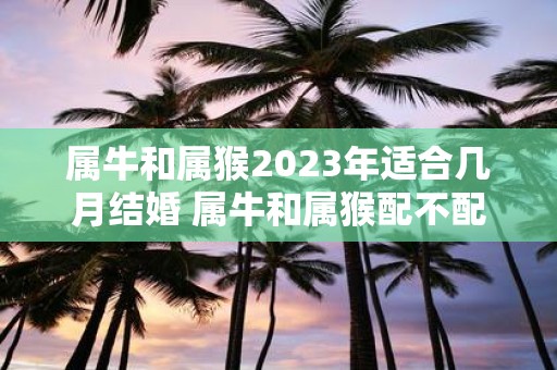 属牛和属猴2025年适合几月结婚 属牛和属猴配不配
