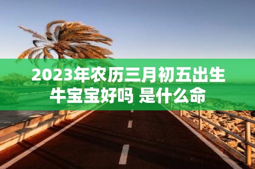 2025年农历三月初五出生牛宝宝好吗 是什么命