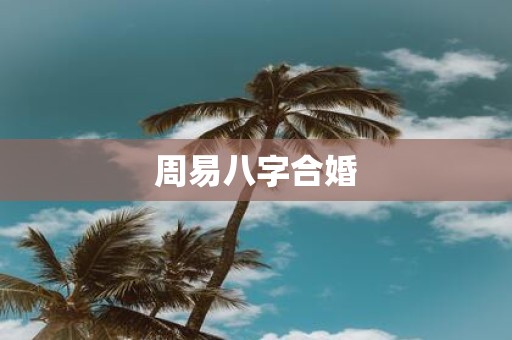 周易八字合婚