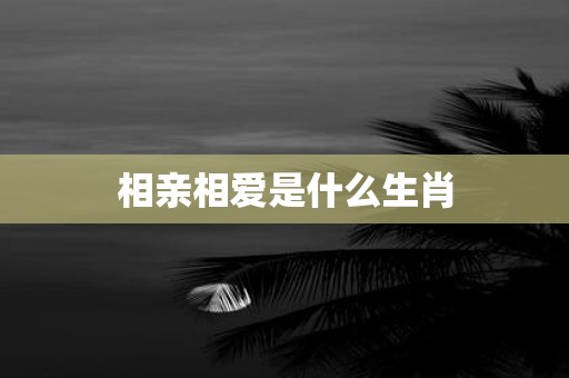 相亲相爱是什么生肖