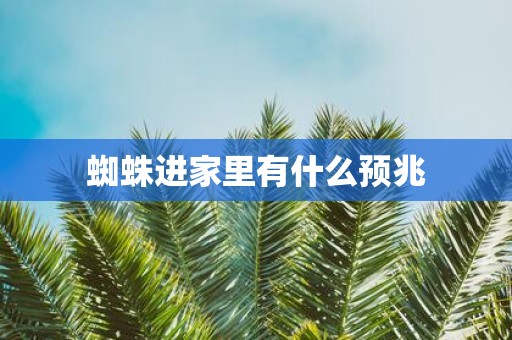 蜘蛛进家里有什么预兆