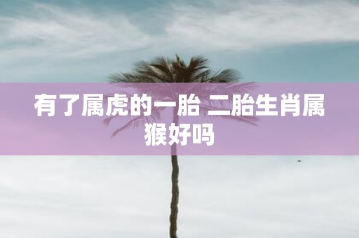有了属虎的一胎 二胎生肖属猴好吗