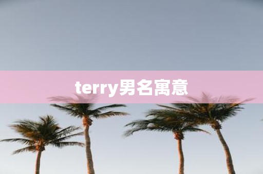 terry男名寓意