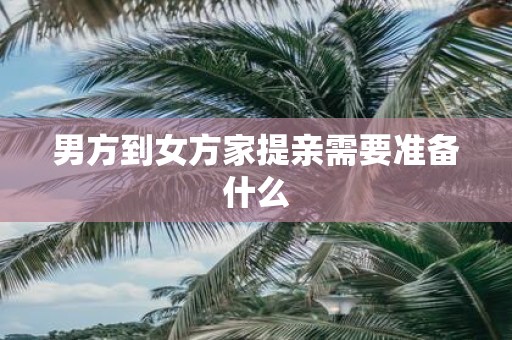 男方到女方家提亲需要准备什么