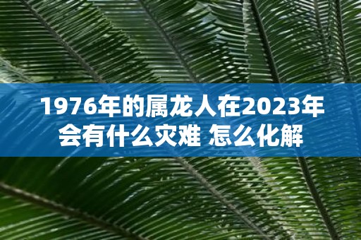 1976年的属龙人在2025年会有什么灾难 怎么化解