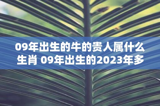 09年出生的牛的贵人属什么生肖 09年出生的2025年多大