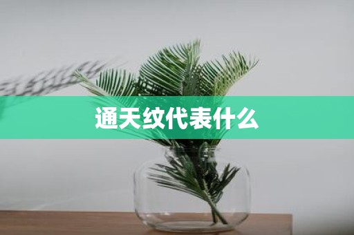通天纹代表什么