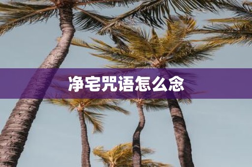 净宅咒语怎么念
