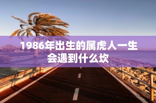 1986年出生的属虎人一生会遇到什么坎