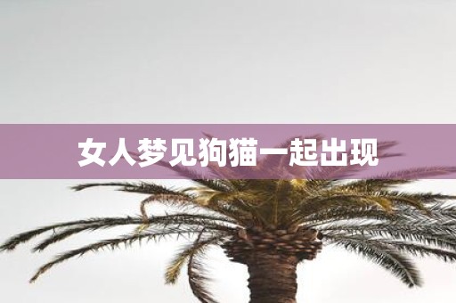 女人梦见狗猫一起出现