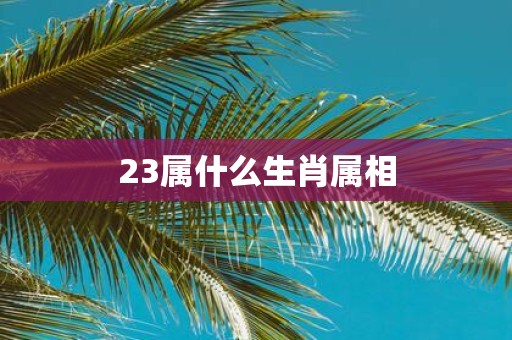 23属什么生肖属相