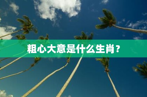 粗心大意是什么生肖？