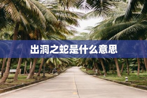出洞之蛇是什么意思