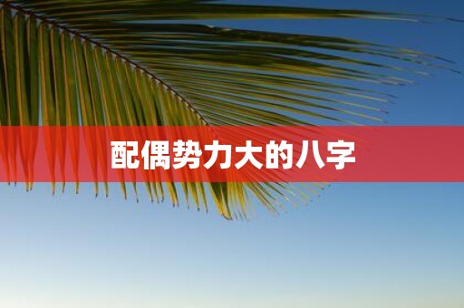 配偶势力大的八字