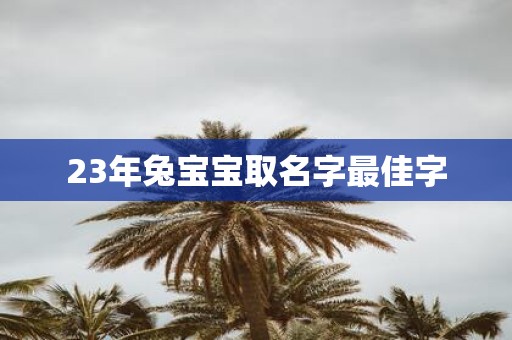 23年兔宝宝取名字最佳字