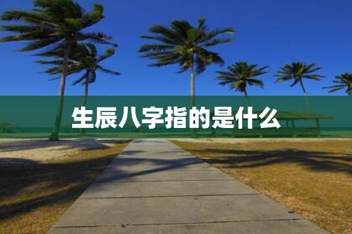 生辰八字指的是什么