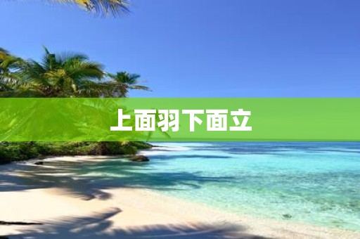 上面羽下面立
