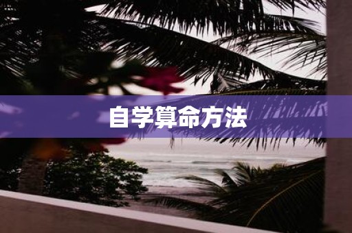 自学算命方法