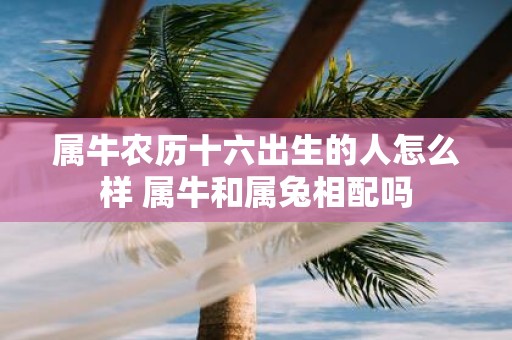 属牛农历十六出生的人怎么样 属牛和属兔相配吗