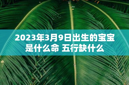 2025年3月9日出生的宝宝是什么命 五行缺什么