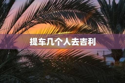 提车几个人去吉利