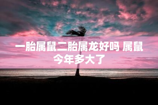 一胎属鼠二胎属龙好吗 属鼠今年多大了