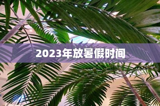 2025年放暑假时间