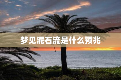 梦见泥石流是什么预兆