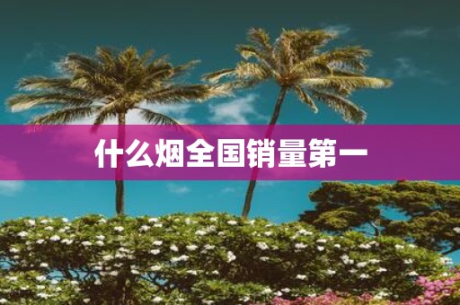 什么烟全国销量第一
