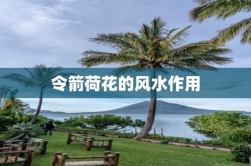 令箭荷花的风水作用