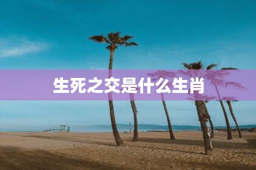 生死之交是什么生肖