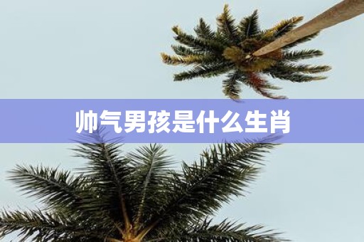 帅气男孩是什么生肖