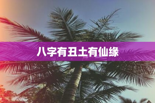 八字有丑土有仙缘