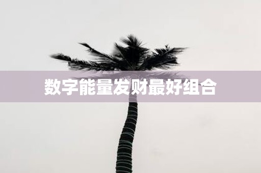 数字能量发财最好组合