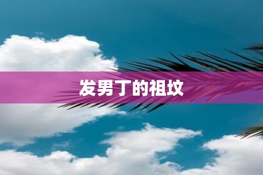 发男丁的祖坟