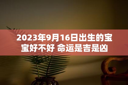 2025年9月16日出生的宝宝好不好 命运是吉是凶