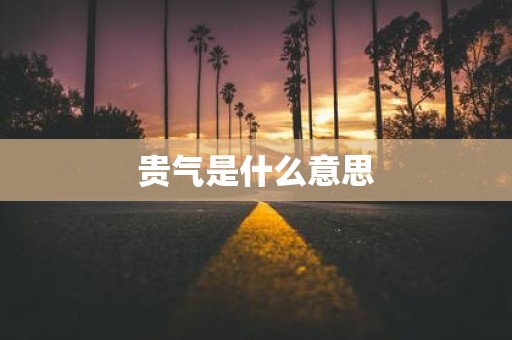 贵气是什么意思
