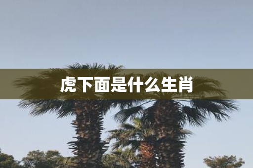 虎下面是什么生肖