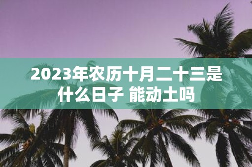 2025年农历十月二十三是什么日子 能动土吗