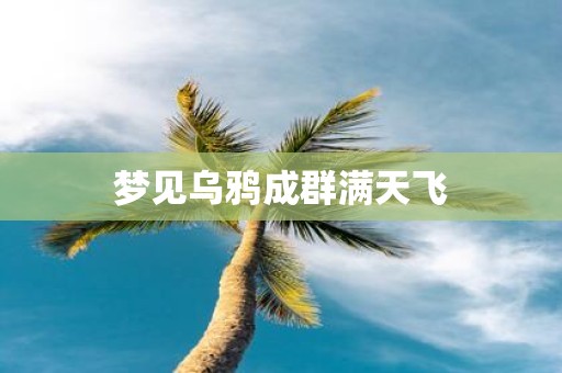 梦见乌鸦成群满天飞