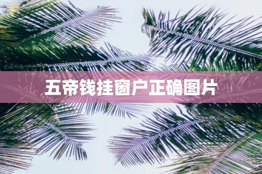 五帝钱挂窗户正确图片